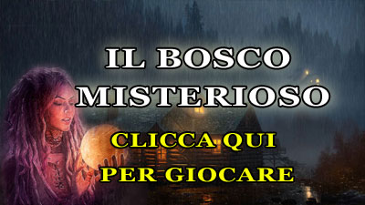 Il bosco misterioso - video interattivi